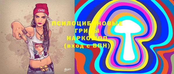 молекула духа Волоколамск