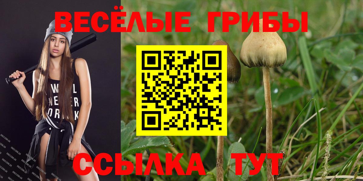 Славянск-на-Кубани  Псилоцибиновые грибы ЛСД  продажа наркотиков  Псилоцибиновые грибы MAGIC MUSHROOMS  Вход с VPN 