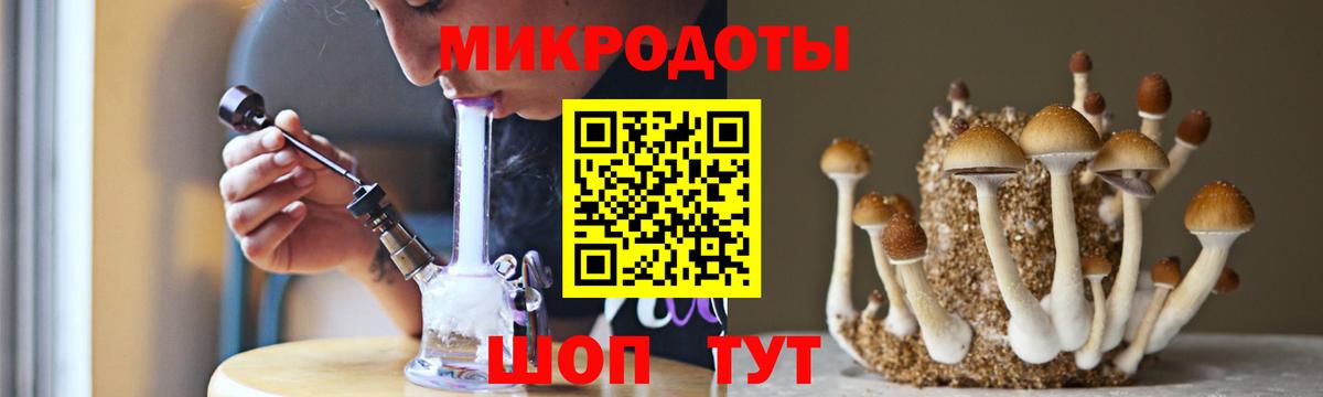 Псилоцибиновые грибы Magic Shrooms Славянск-на-Кубани